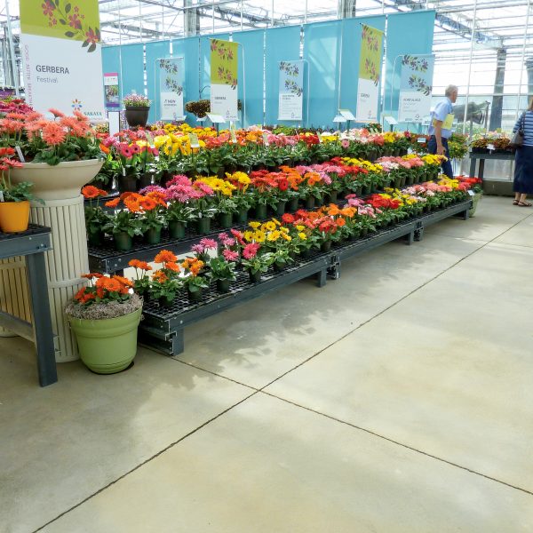 Greenhouse Display Benches Agri of Virginia, Inc.